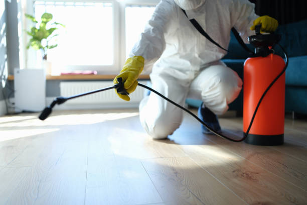Reliable Odor Removal contractor in Battle Ground, WA by Trauma Clean Pros